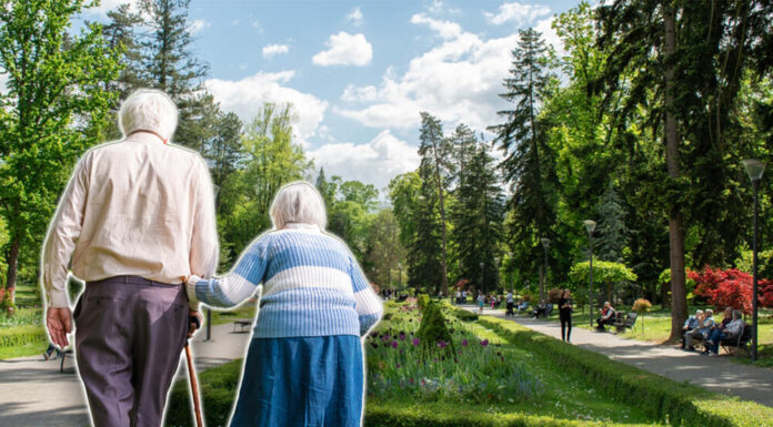 PIO fond obaveštava najstarije: Od danas počinje prijava penzionera za besplatnu uslugu od države