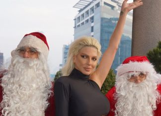 Jelena Karleuša dala malo bogatstvo za dvorišnu dekoraciju: Deda Mraz, irvasi, lampioni – Sija celo Dedinje