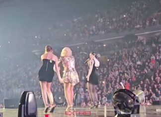 Osvanuo snimak pada kamermana koji je povredio Lepu Brenu, ljudi zabrinuti: “Joj, ovo je baš strašan pad”