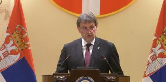 “Ovo je linija koja deli dobro i zlo”: Gašić oštro osudio incident ispred Skupštine – “Ludilo se otelo kontroli”