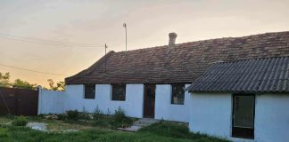 Ana prodaje seosko domaćinstvo i veliku kuću blizu Sombora: Evo šta sve dobijate za samo 19.000 evra