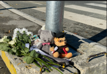 Na mestu pogibije tročlane porodice osvanuo najtužniji prizor u Srbiji: Plišane igračke, cveće, sveće i ikona Svete Petke