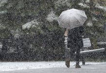 Kragujevac je već zavejan, a uskoro dolazi nova tura snega: Nekoliko delova Srbije na udaru – Za vikend novi preokret