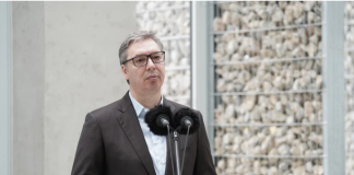 Vučić o Dijani Hrki: “Srećan sam što je prekinula štrajk glađu, želim joj da sačeka pravdu” – Nije ljut zbog njene izjave