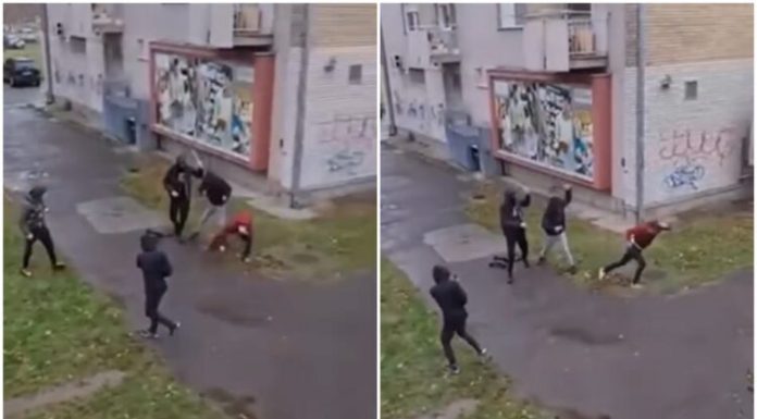 Zapaljen automobil tužiteljki iz Subotice koja je saslušavala osumnjičene za prebijanje aktiviste