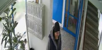 “Smišljeno je ovo uradio”: Komšije žene izbodene pred unukom i dalje su u šoku – “Znao je da tu nešto ima, posmatrao ju je”