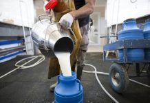 Proizvođači mleka iz Kraljeva u utorak će građanima deliti mleko: Više tona prosuće pred gradsku upravu