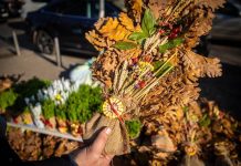 Sutra je Badnji dan: Odvojite kašiku ovog jela i sačuvajte do Krstovdana – Čim otvorite oči izgovorite molitvu