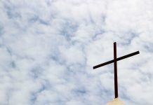 Daniel je prvi Amerikanac koji je zaplivao za Časni krst: “Nakon 3 godine života i rada u Srbiji, zapazio sam da smo vrlo sličan narod”