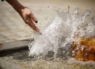 Pevač, rijaliti zvezda i jedna princeza: Pogledajte ko je sve učestvovao u plivanju za Bogojavljenski krst