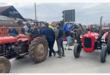 Mlekari u Kniću napravili novu blokadu: Kuvaju “šumadijski čaj” i ne nameravaju da odu dok Vlada ne ispuni zahteve