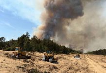 Požar u Deliblatskoj peščari proširio se ka Dunavu – Vatra zahvatila i lovišta: Vikendaši evakuisani iz naselja Slatine
