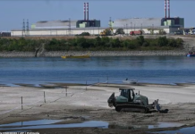 Izronila “Stena gladi” – Dunav na istorijskom minimumu, ljudi hodaju po njegovom koritu: “Gotovo je, sve se osušilo”