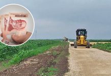 Nepalci sa Himalaja beru kornišone i duvan u Vojvodini: Poslodavci otkrili kolika im je satnica – “Mirni su, umereni i povučeni ljudi”